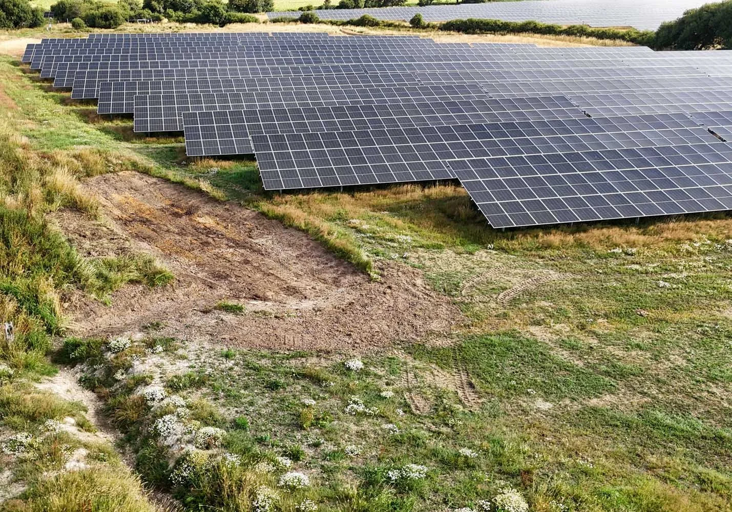A large field filled with rows of solar panels set on the ground, surrounded by greenery and shrubs.