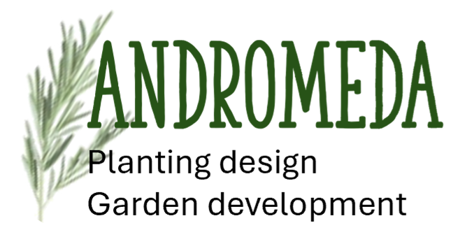 Andromeda planting design and garden development