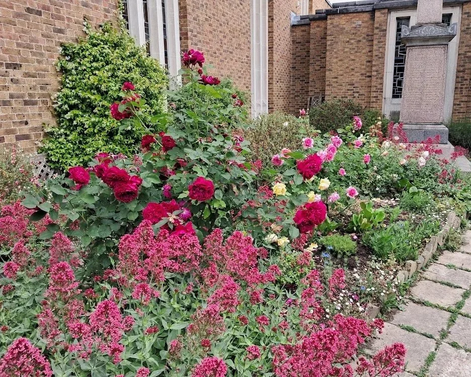 Public garden for church with roses