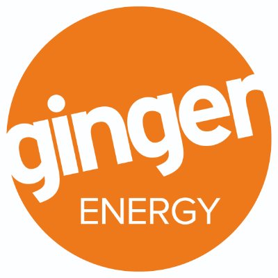 Logo - Ginger (1).jpg