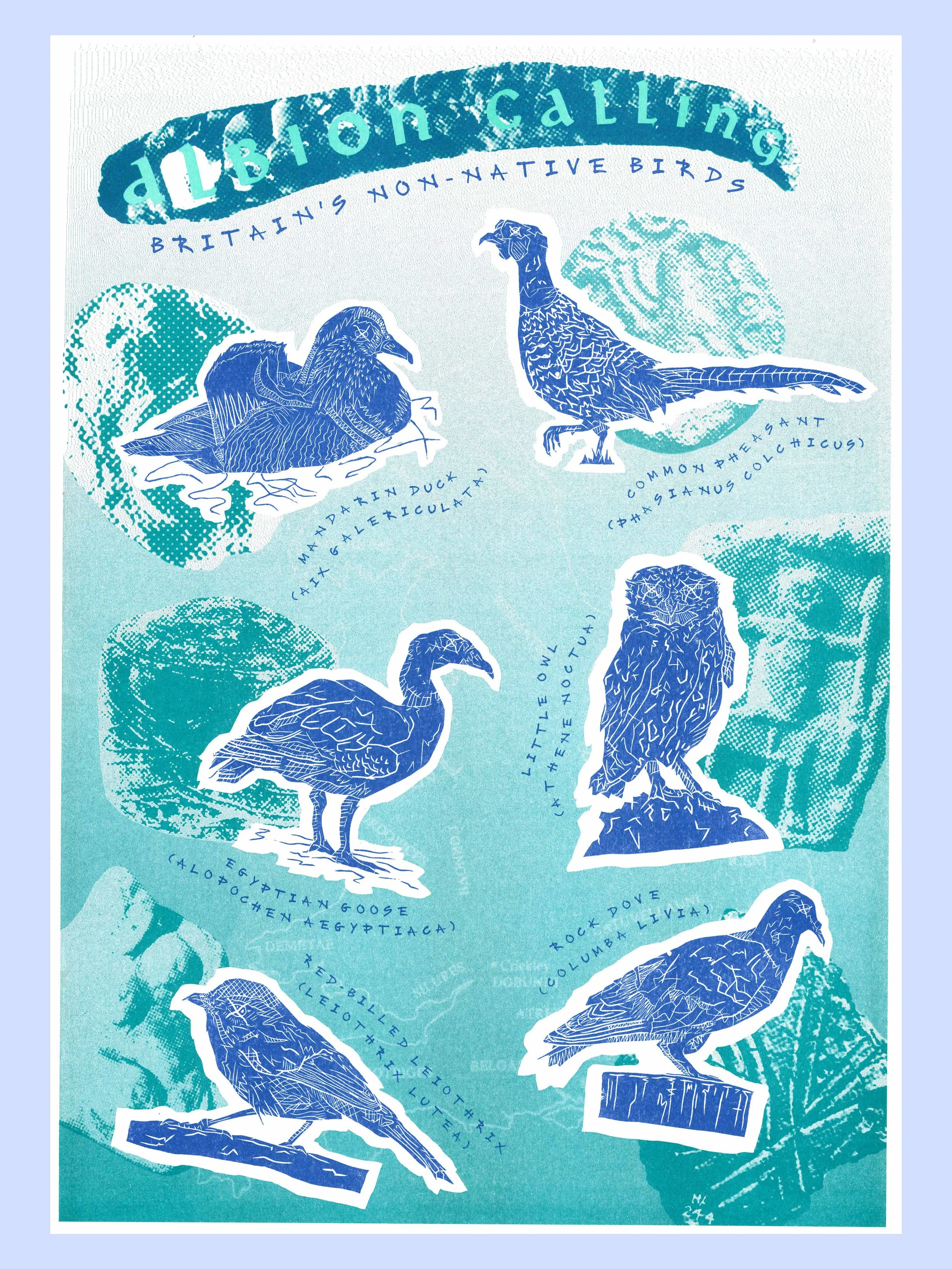 Albion Calling_Web.jpg