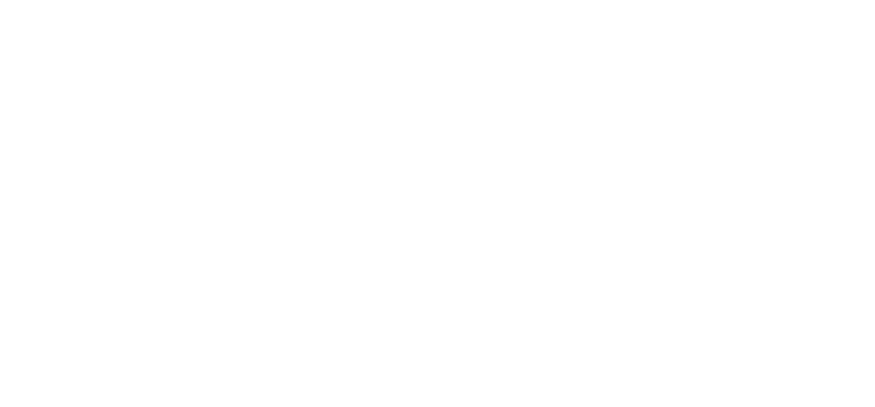 SlingTech