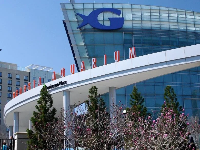 Georgia Aquarium