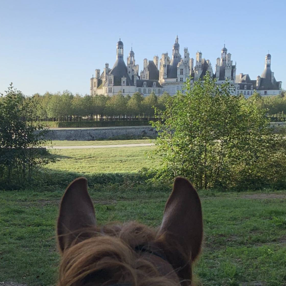 A person riding a horse, with ears and head visible, watching a castle in the distance across a field and trees.