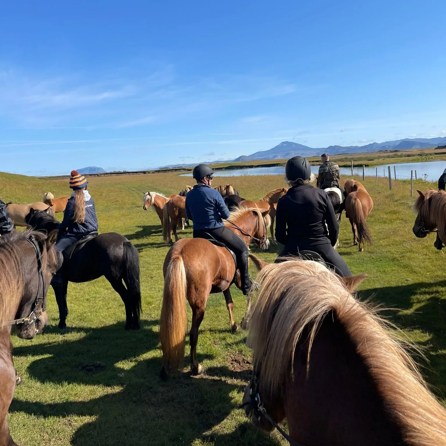 Group of people riding horses on a grassy field near a body of water with mountains in the background under a clear blue sky.