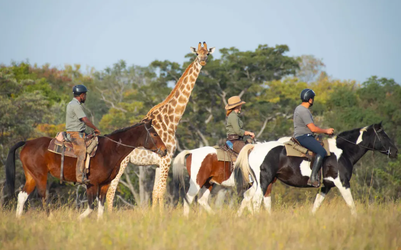 Screenshot (370).png