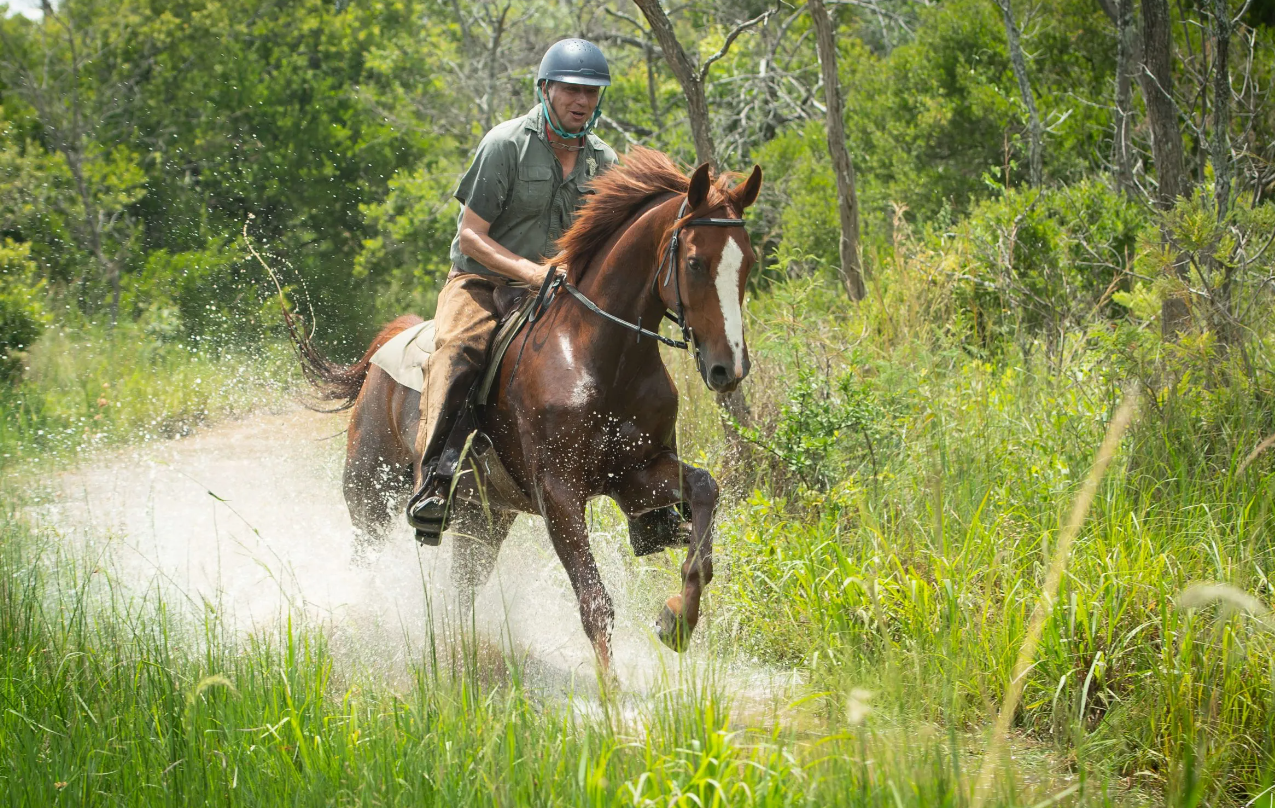 Screenshot (382).png