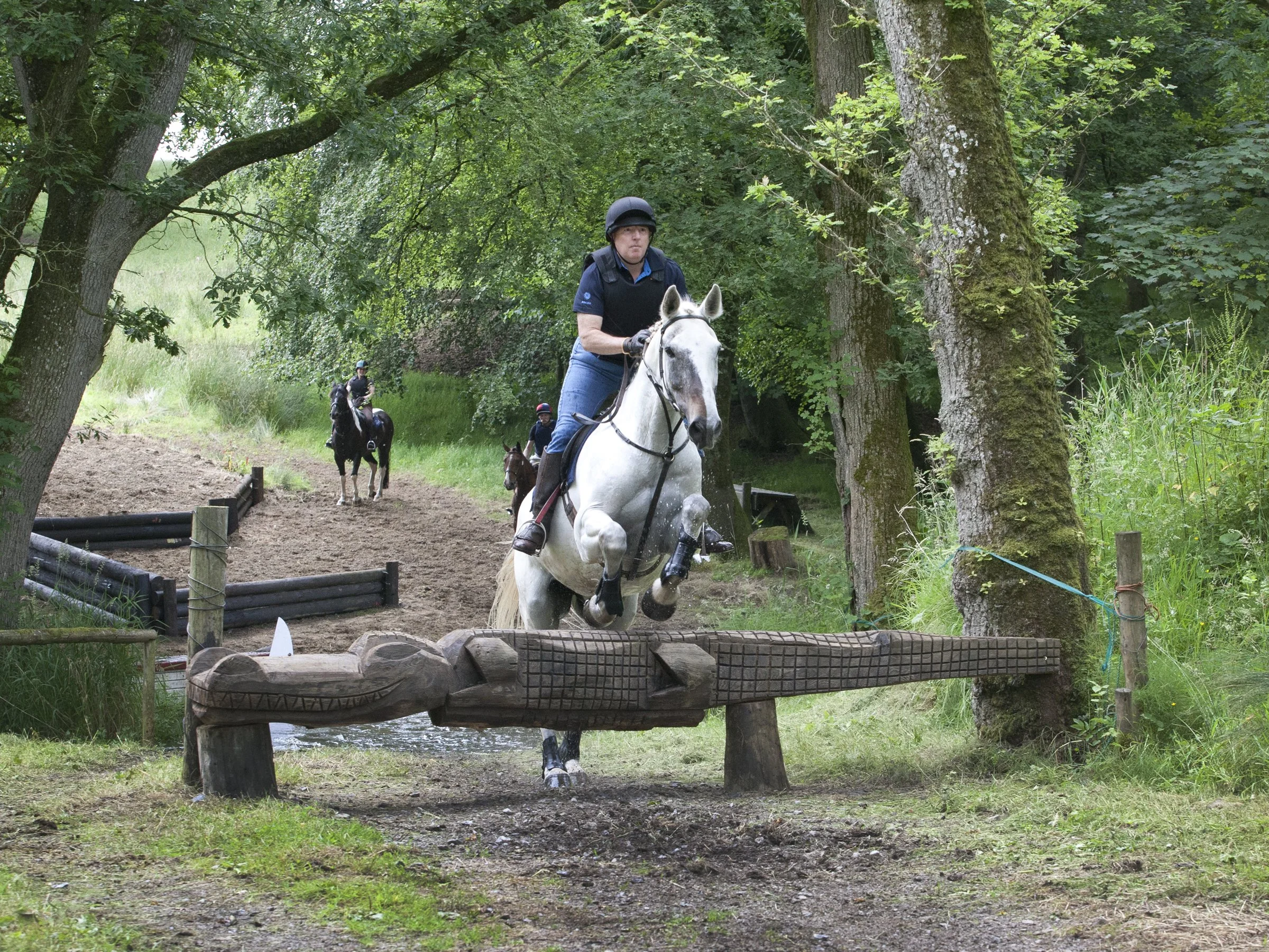A person riding a white horse jumps over an obstacle on a forest trail, with two other riders on horseback in the background.
