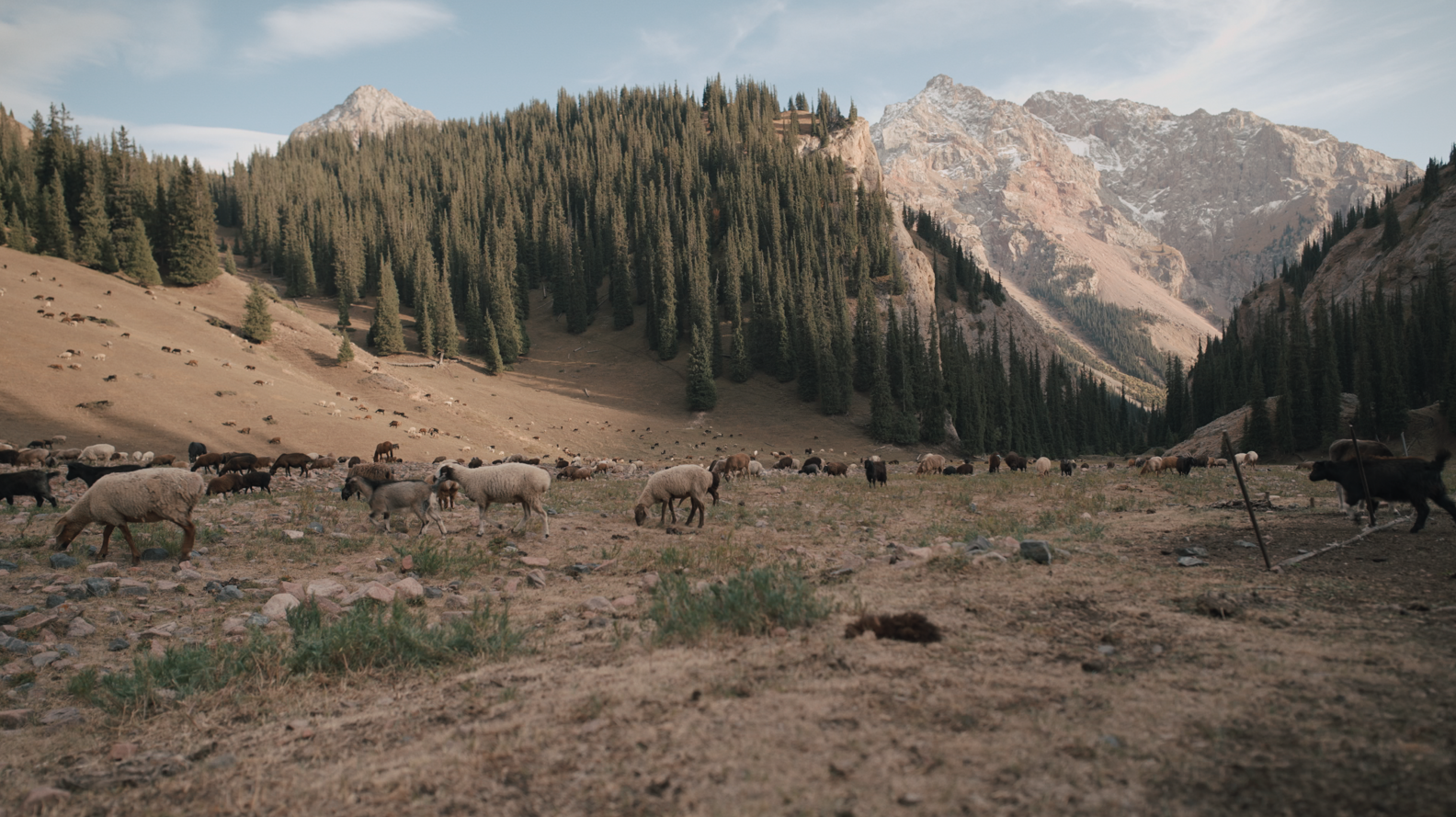 Screenshot (285).png