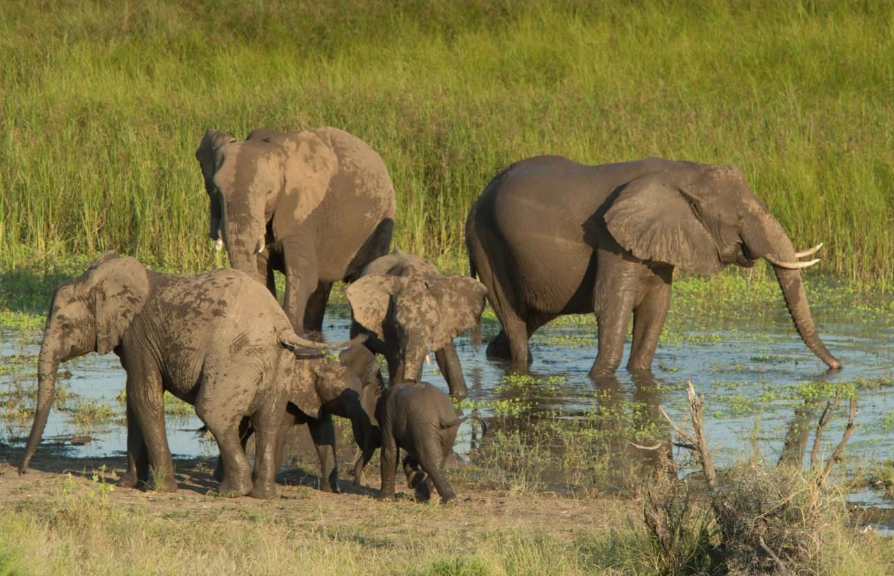 Screenshot (375).png