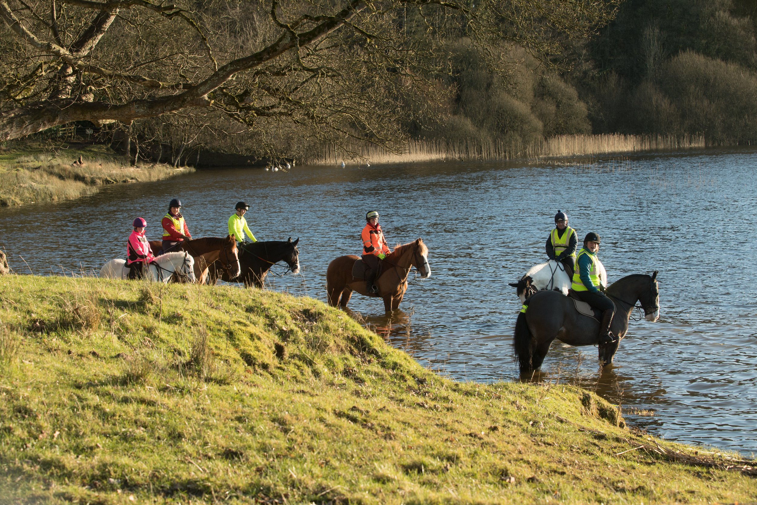 Group of six horseback riders in colorful riding gear, wading through a river near a grassy shoreline with trees in the background.