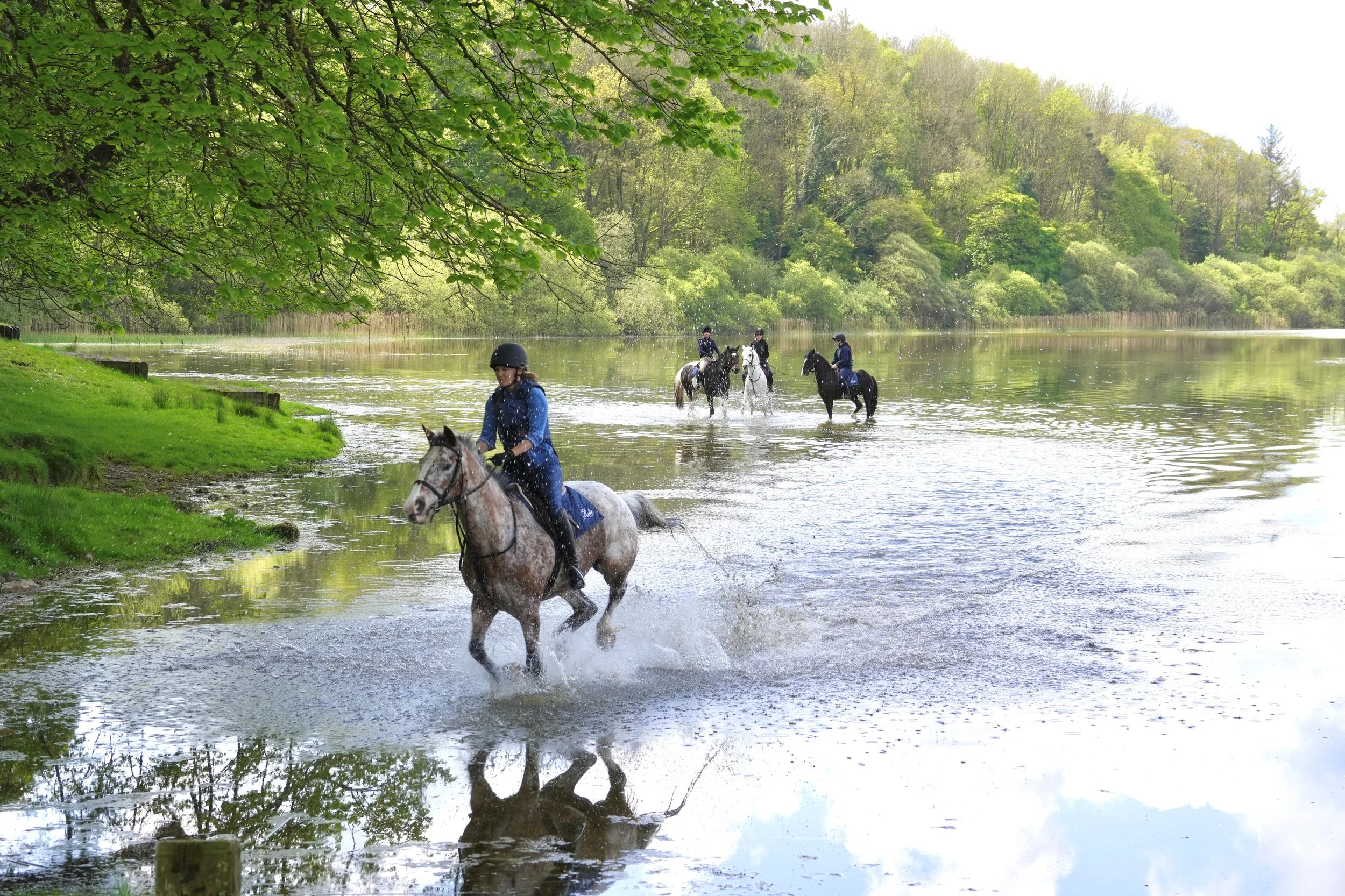 Five people riding horses through a shallow lake in a lush, green, wooded area on a bright day.