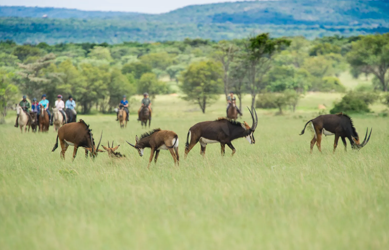 Screenshot (364).png