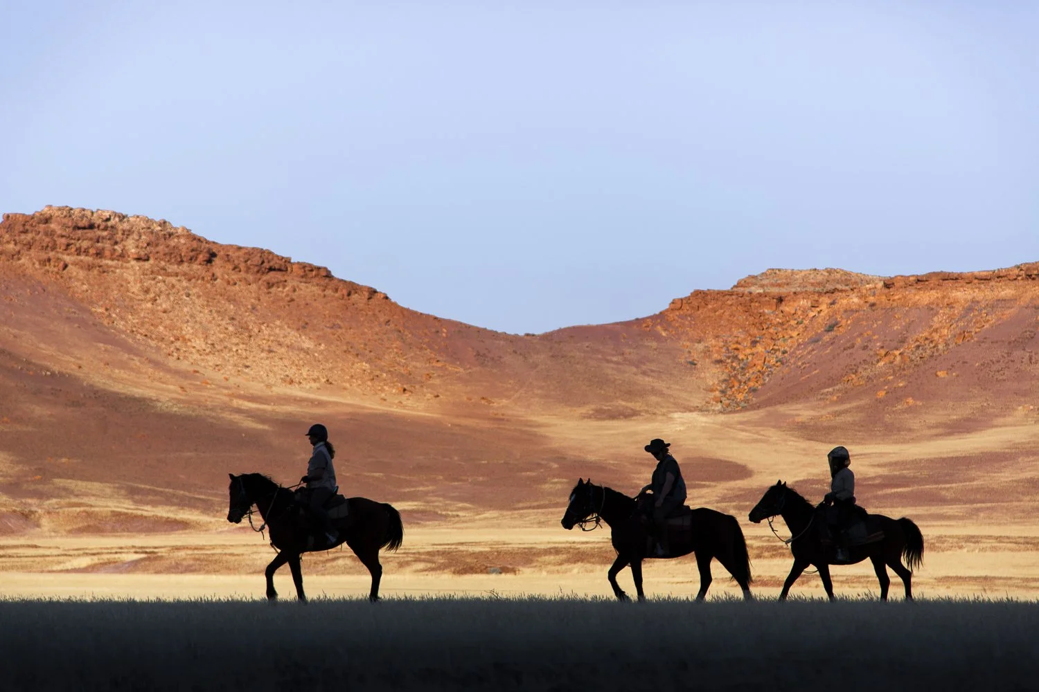 Horses in landscape_TeaganCunniffe.jpg