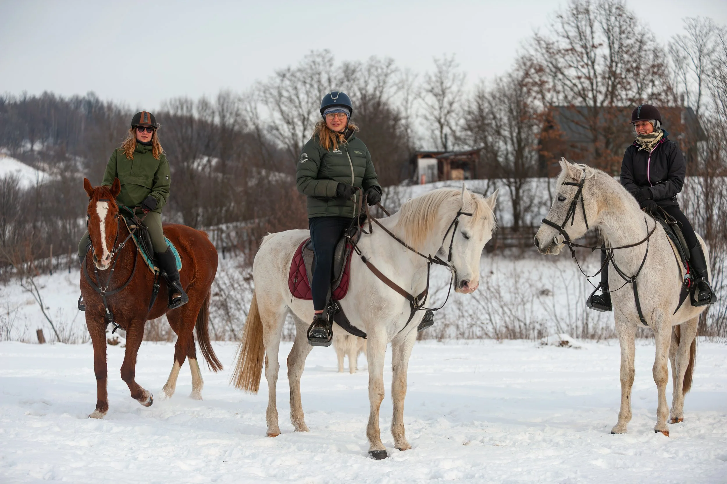 Equus Winter Ride 2026 (C) Andrei - Alexandru Popa-27.jpg