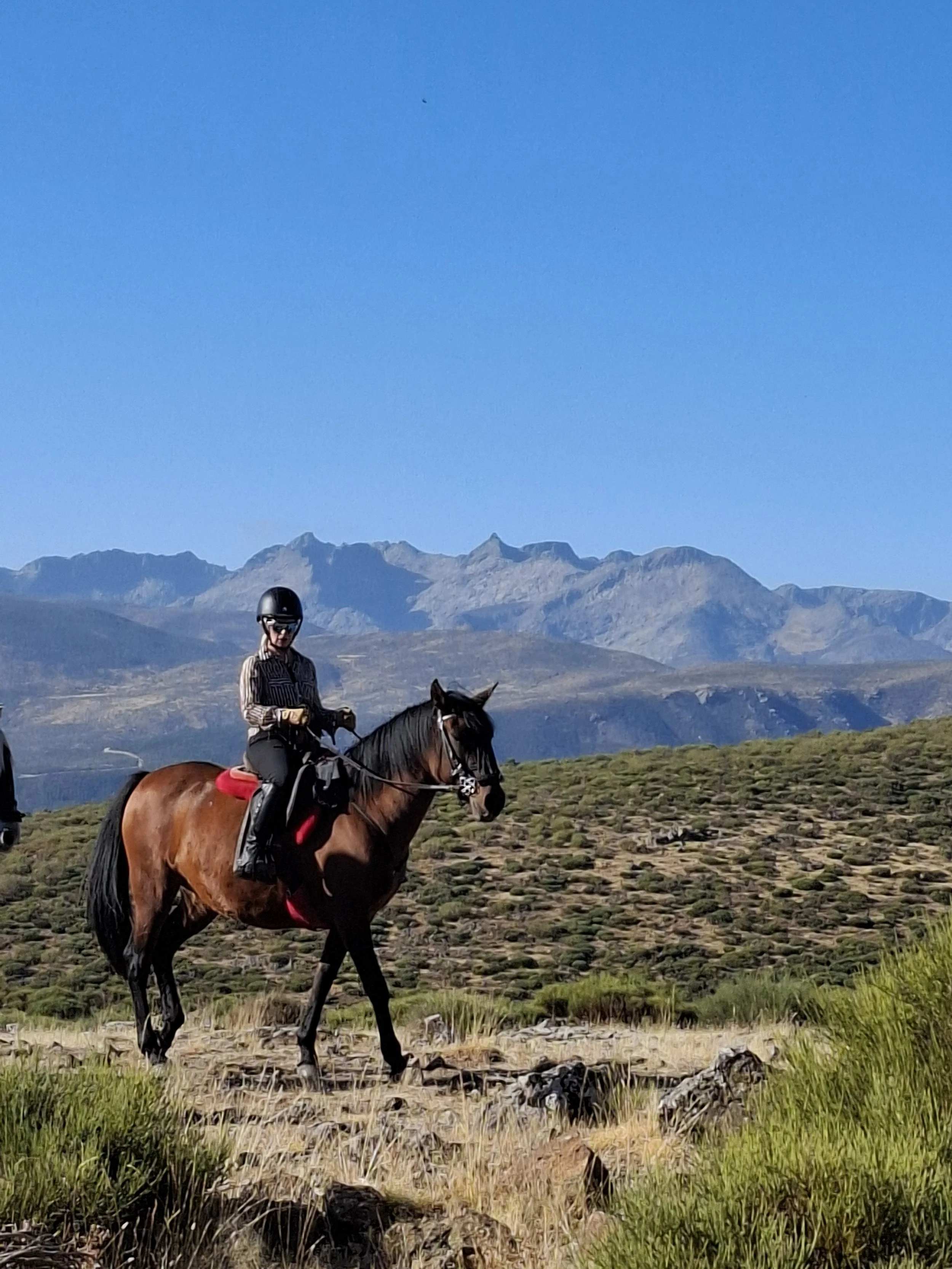 Riding holiday in Spain person riding a brown horse in a vast open landscape with mountains in the background under a clear blue sky.