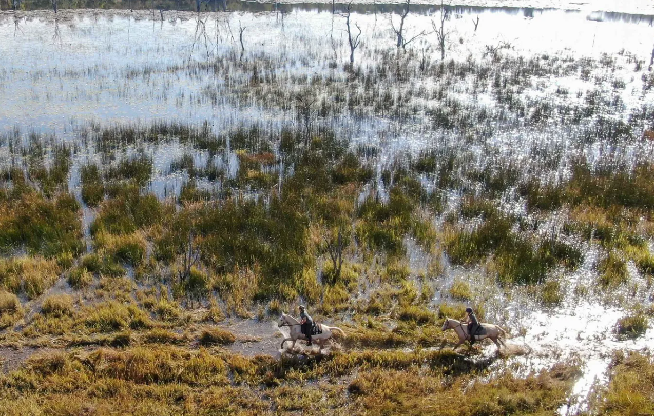 Screenshot (366).png