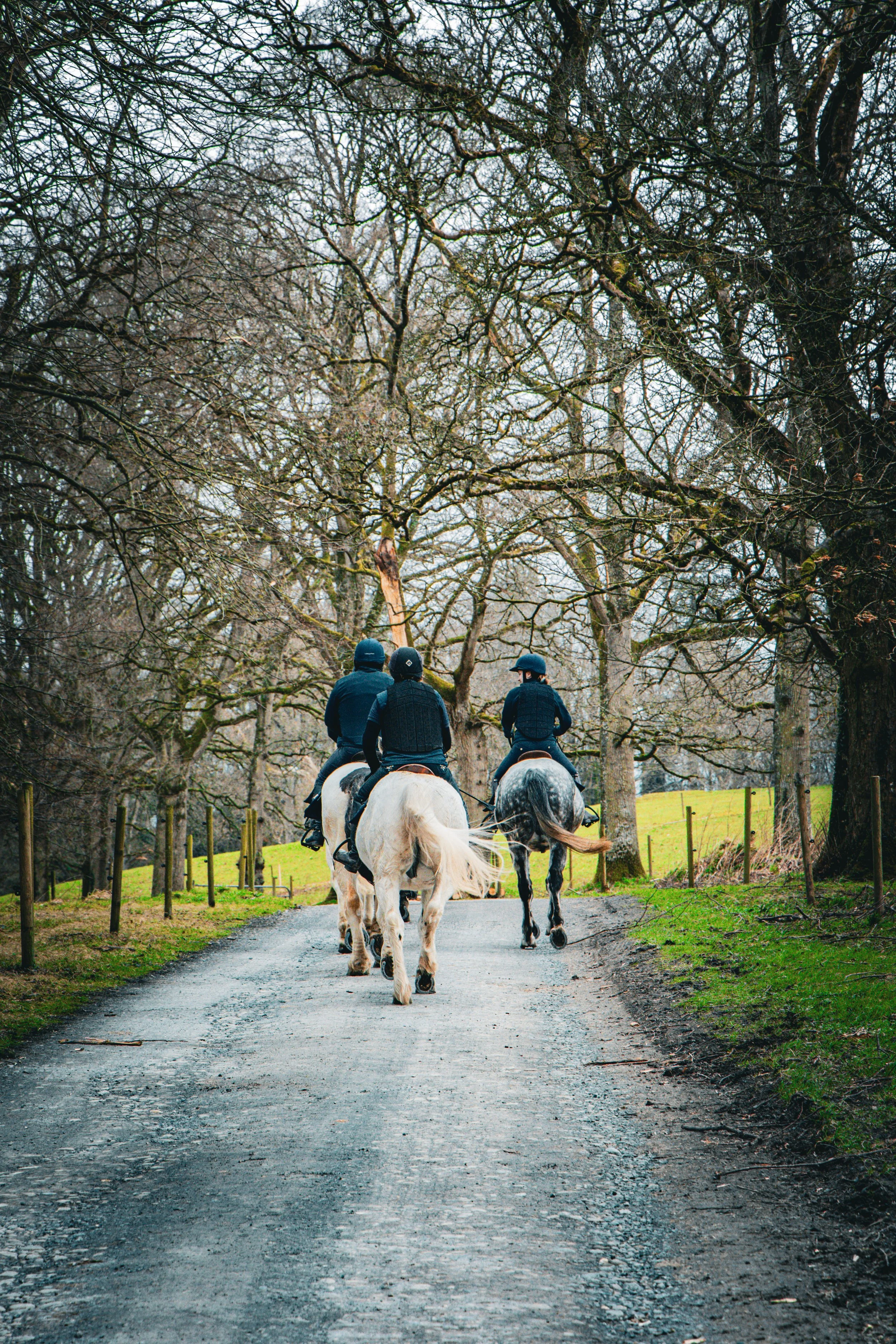 Three people riding horses on a gravel path through a wooded area with leafless trees and green grass.