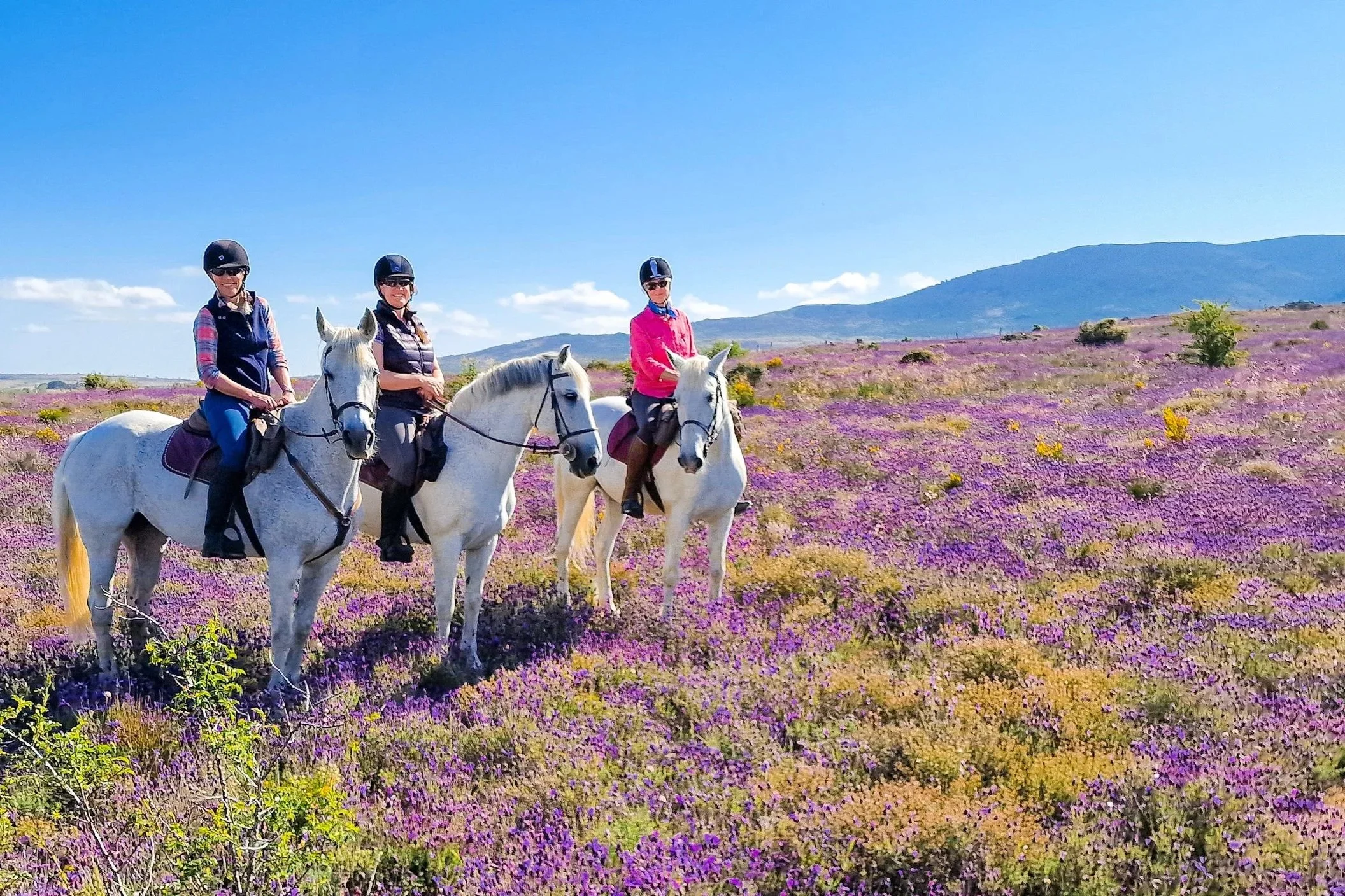 Three women horseback riding through a field of purple and yellow wildflowers with mountains in the background under a clear blue sky.