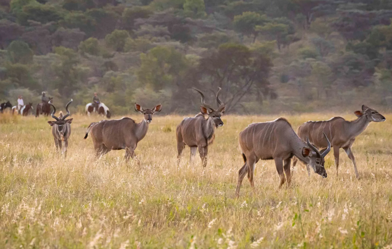 Screenshot (365).png