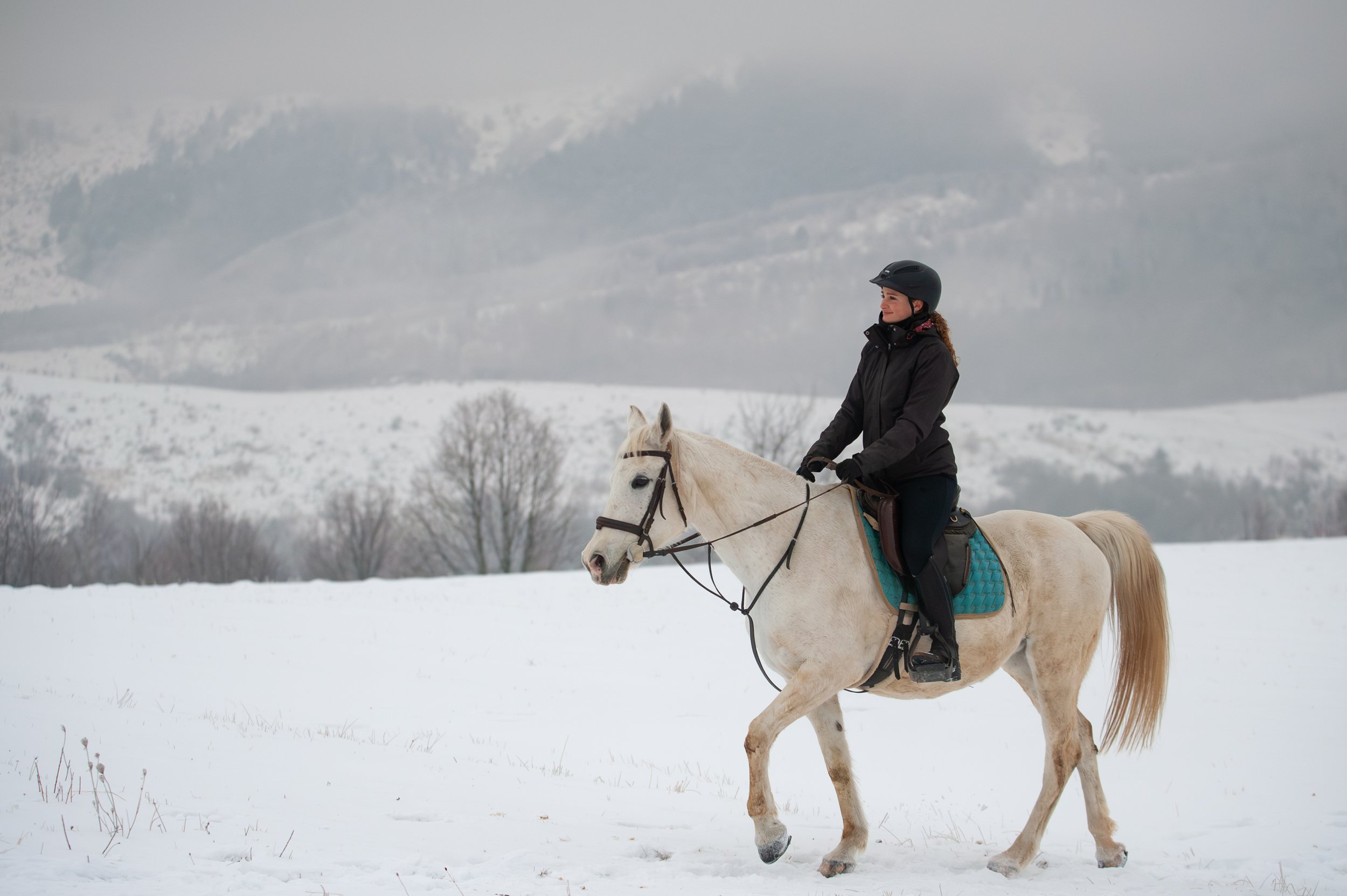 Equus Winter Ride 2026 (C) Andrei - Alexandru Popa-11.jpg