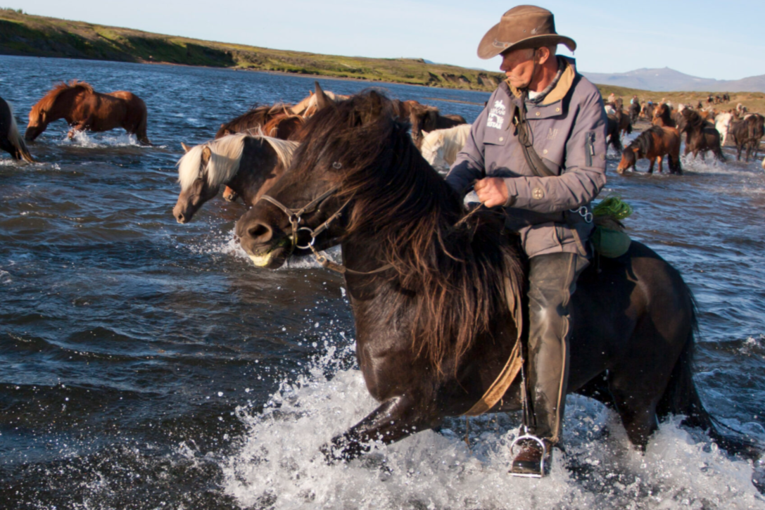 A person riding a black horse through a river, surrounded by other horses and riders in the background, in a rural landscape.