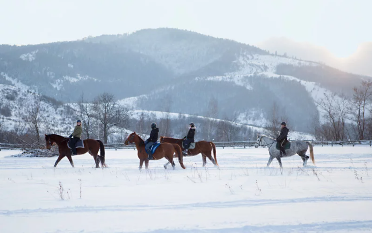 winter romania3.png