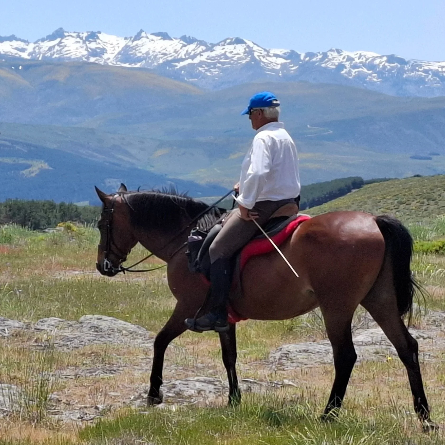 A man riding a horse in a mountainous landscape with snow-capped peaks in the background, green hills, and a clear blue sky.