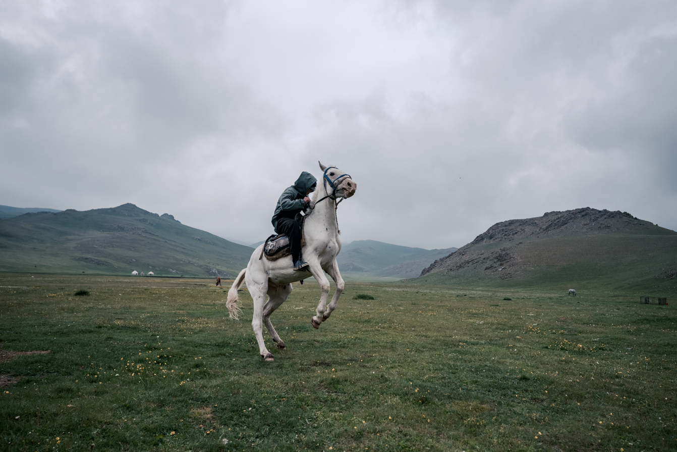 A person in a hooded jacket riding a rearing white horse in an open grassy landscape with mountains and overcast sky in the background.