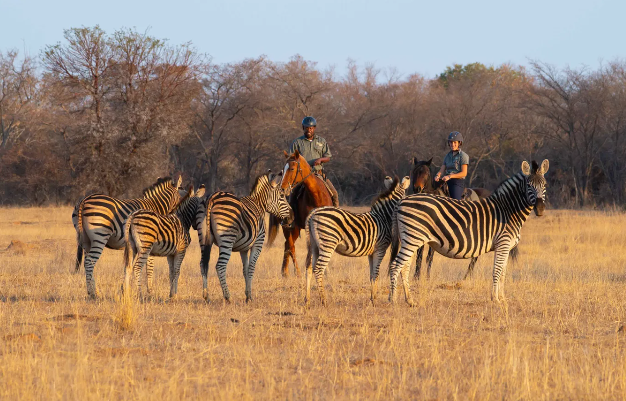 Screenshot (363).png