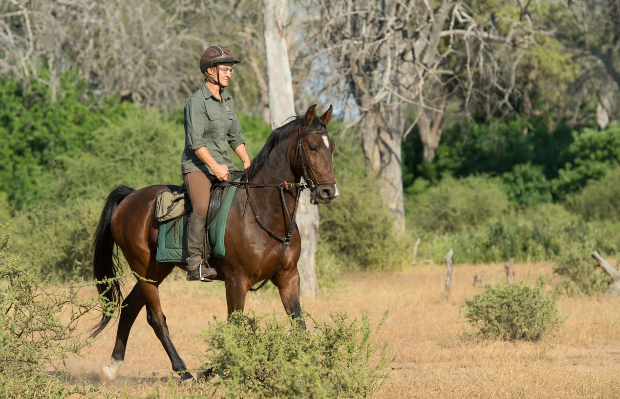 Screenshot (381).png