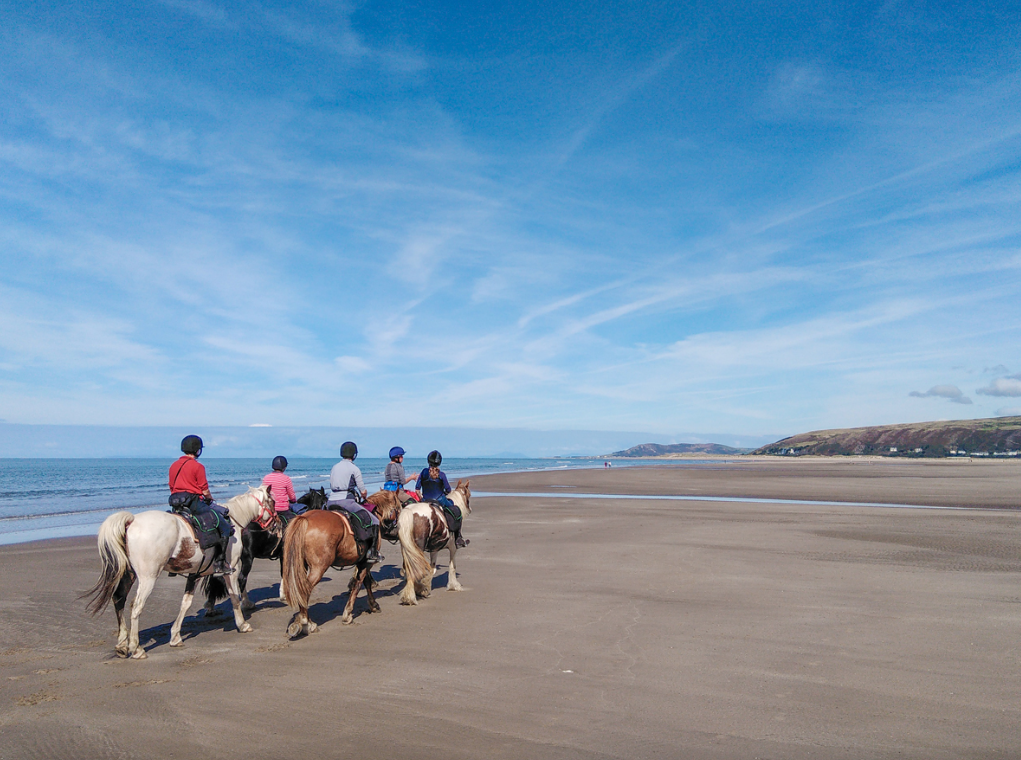 Six people riding horses along a sandy beach under a blue sky with some clouds, with water and distant hills in the background.