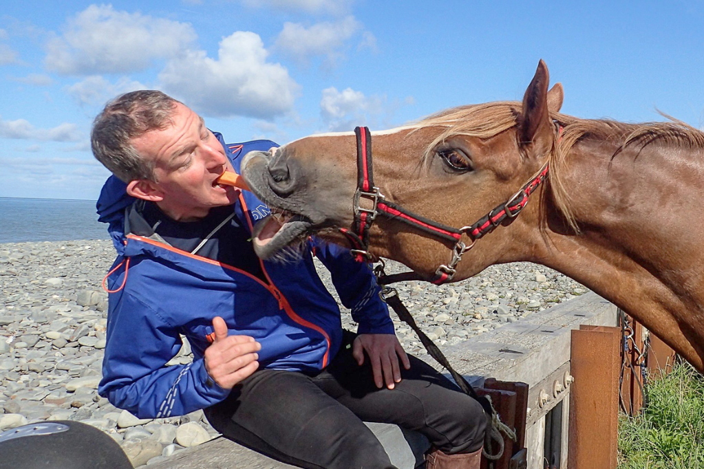 A man in a blue jacket sitting on a wooden bench on a rocky beach, being playfully nuzzled by a brown horse with a red halter.
