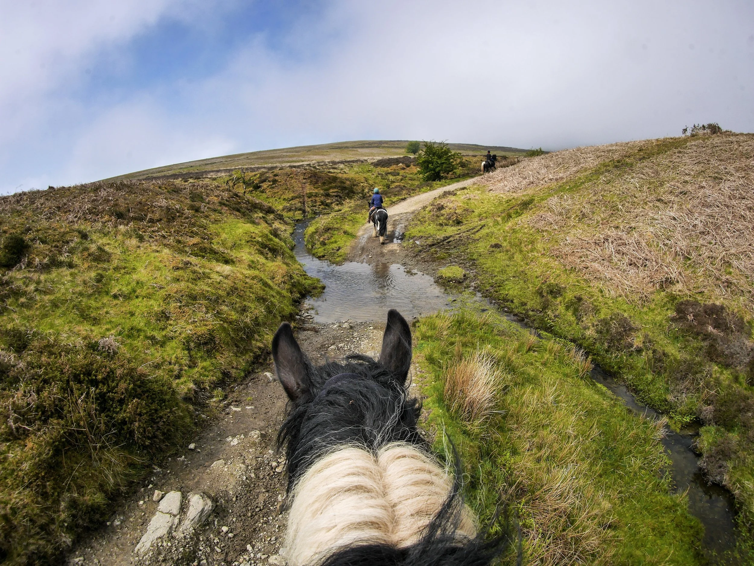 View from horseback riding showing a steep trail over a small stream with two riders ahead and lush green hills and cloudy sky in the background.