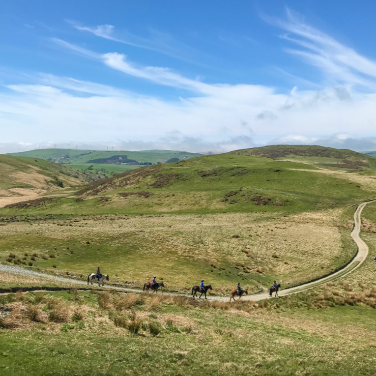 Four people riding horses single file along a winding dirt road across green rolling hills under a partly cloudy sky.