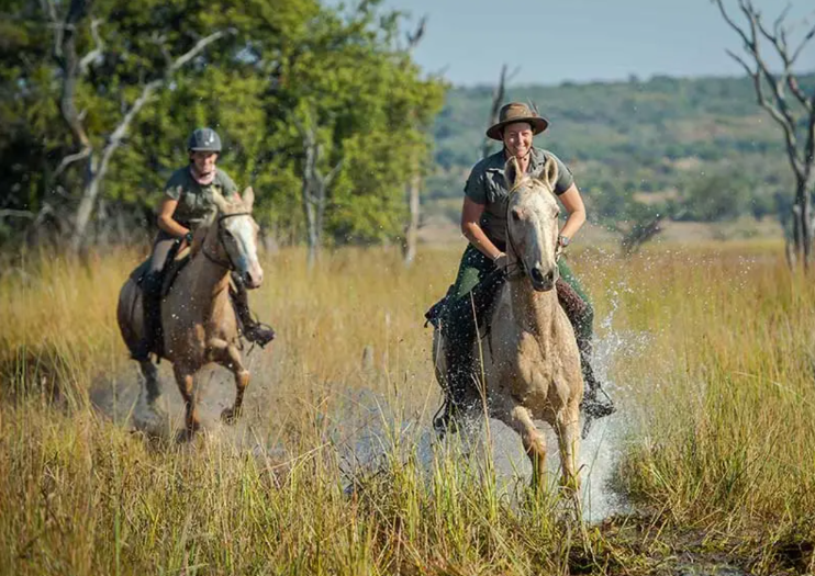 Screenshot (356).png