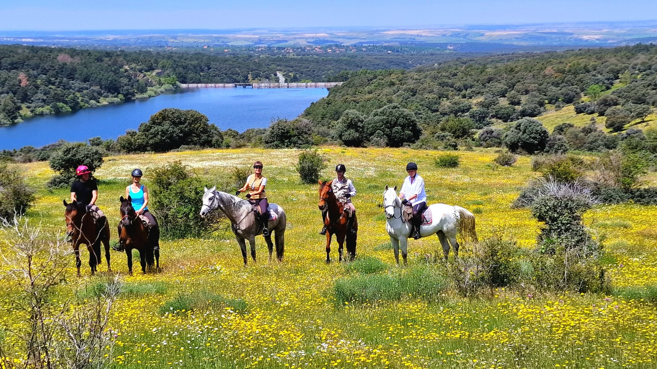 Six people riding horses through a lush, yellow-flowered meadow with trees and a large blue lake in the background under a clear blue sky.