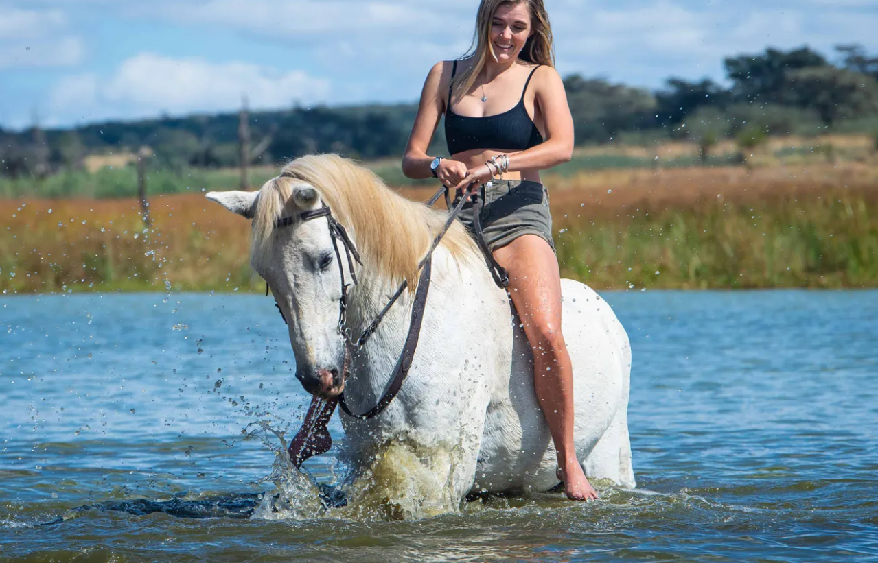 Screenshot (373).png