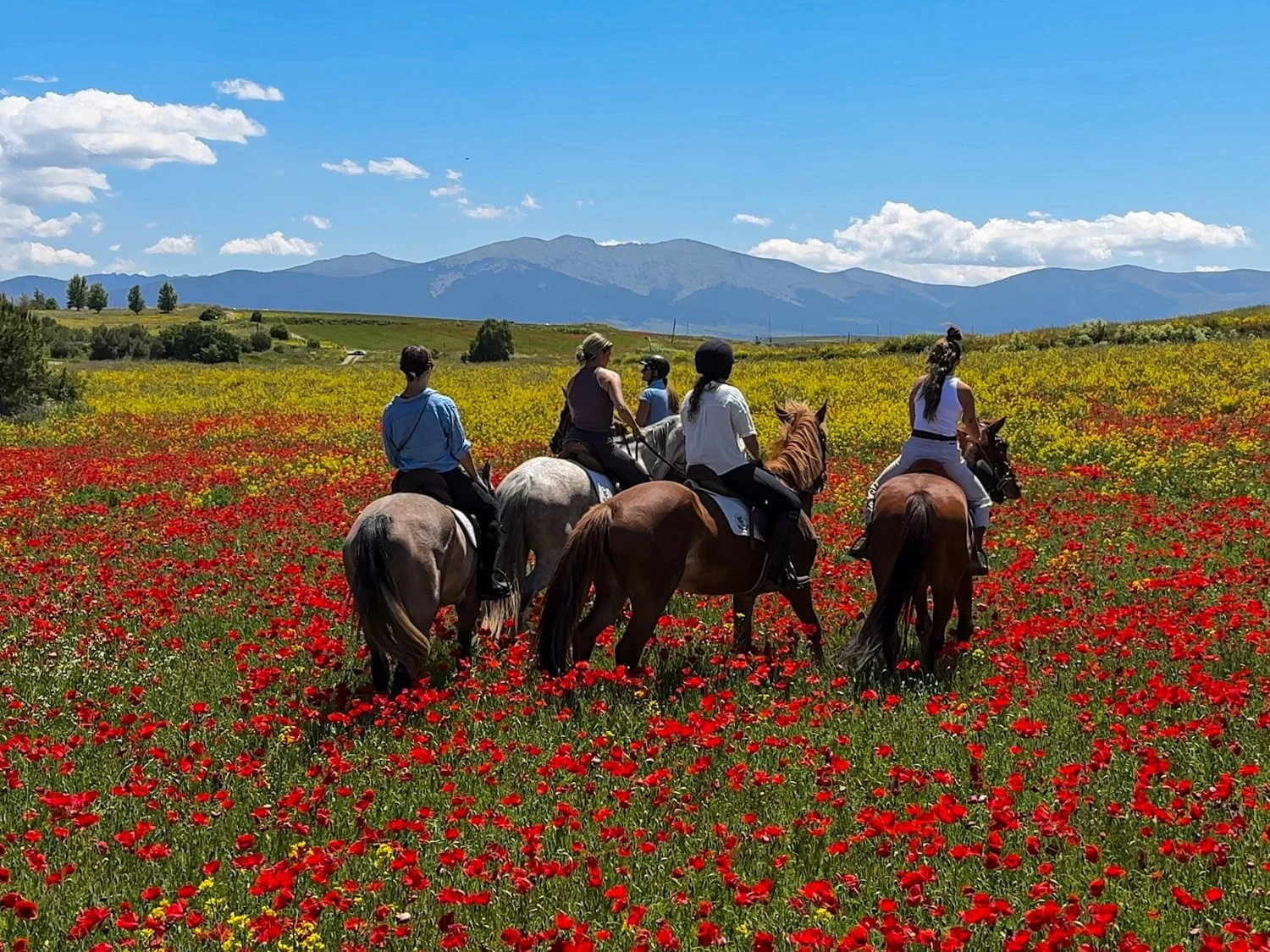 Five people riding horses through a colorful flower field with yellow and red flowers, green trees, distant mountains, and a bright blue sky with clouds.
