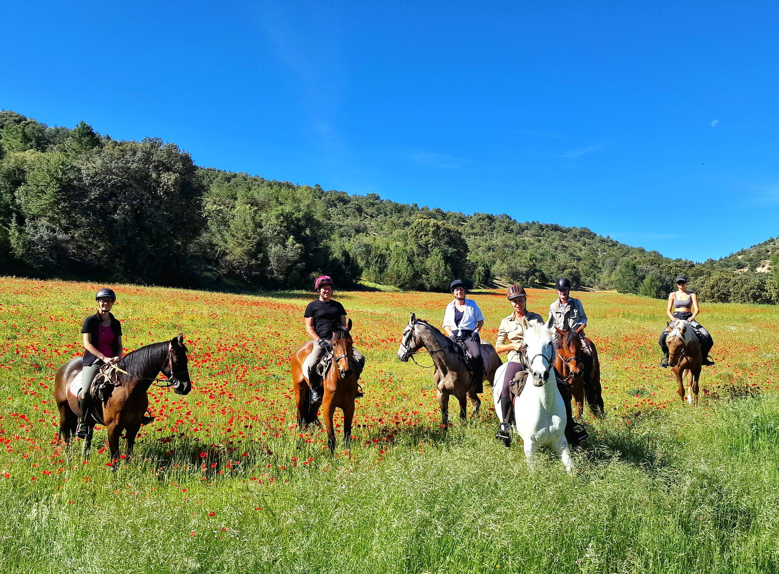 Six people riding horses in a field of red flowers with green grass, trees, and hills in the background under a blue sky.