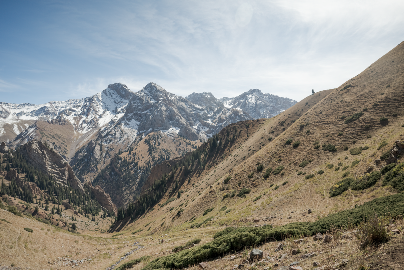 Screenshot (280).png