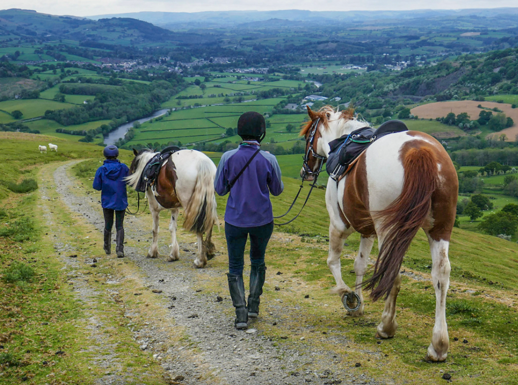 Two people walking with two horses along a trail in a lush, green valley with rolling hills and fields in the background.