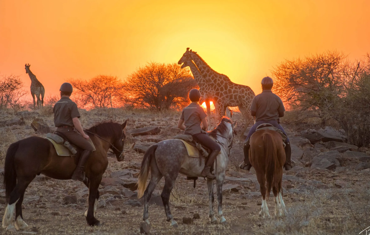 Screenshot (376).png