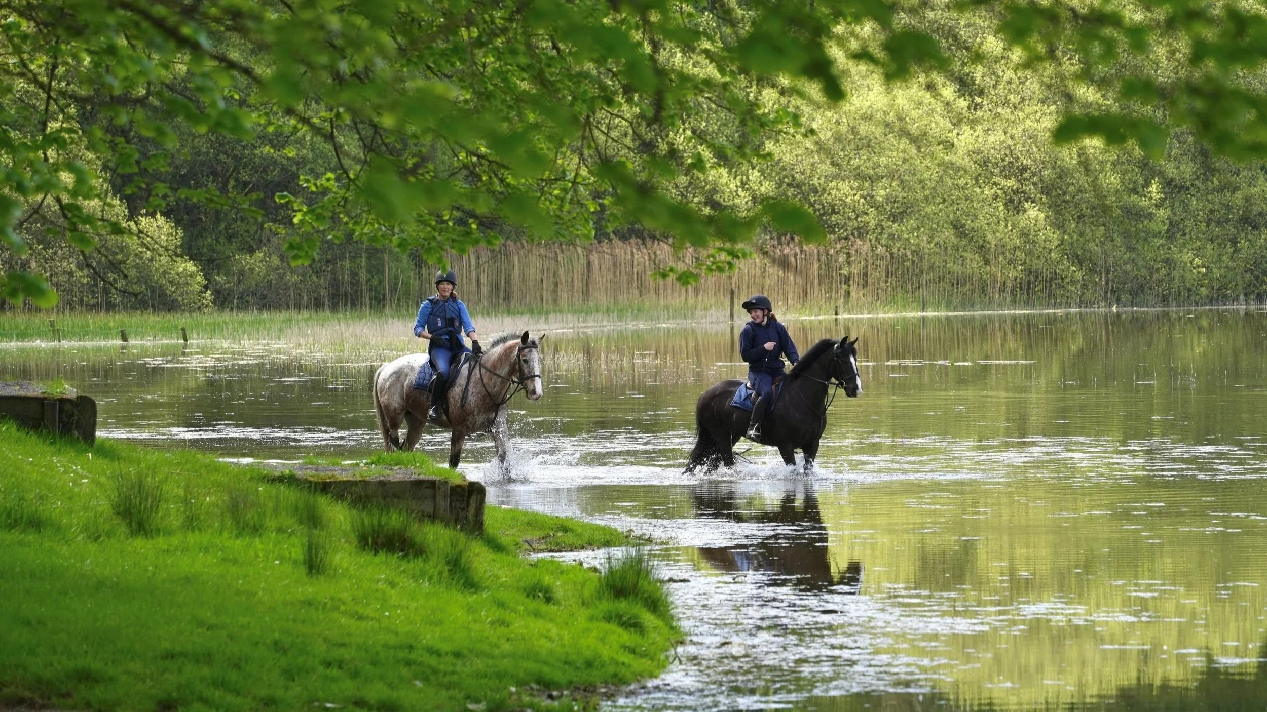 Two people riding horses through a shallow water body surrounded by lush green trees.