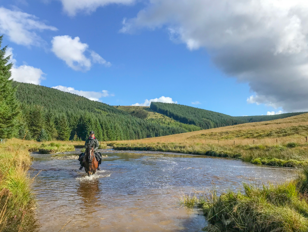 Person riding a horse through a shallow river in a scenic mountainous landscape with green hills, a mix of coniferous trees, and partly cloudy sky.