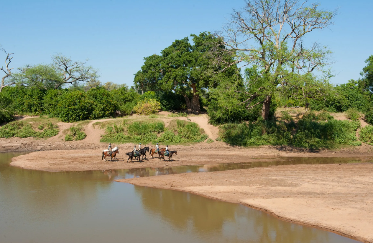 Screenshot (380).png