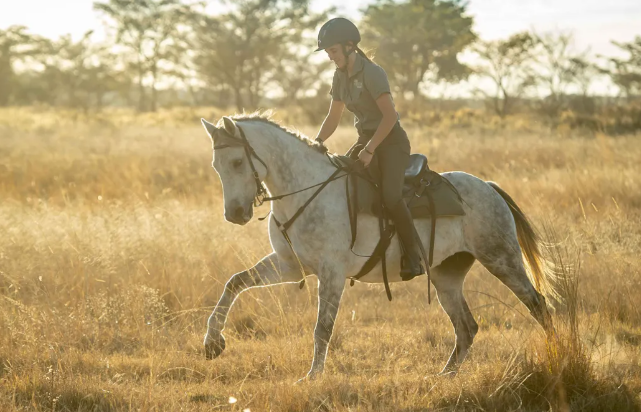 Screenshot (368).png