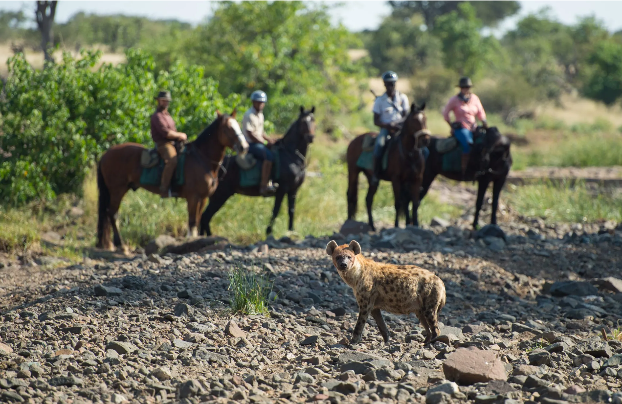 Screenshot (379).png