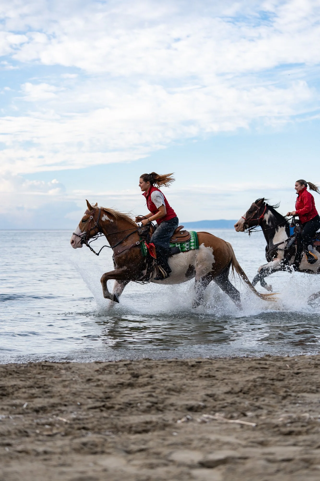 Horses3 (1).jpg