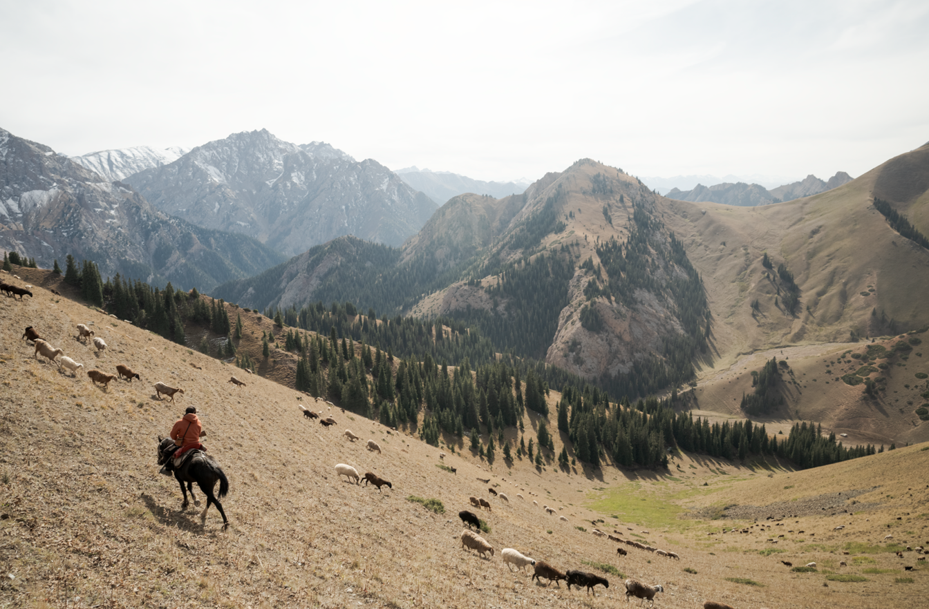 Screenshot (287).png